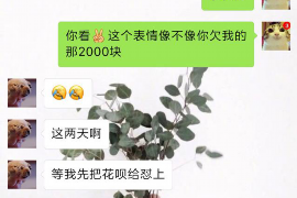 长垣长垣的要账公司在催收过程中的策略和技巧有哪些？